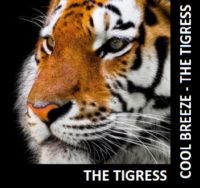 The Tigress Blog