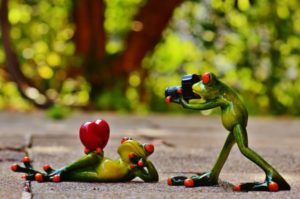 frogs, love, valentine's day-903158.jpg