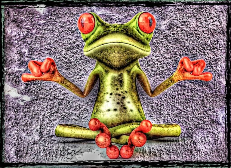 frog, meditation, relief-885732.jpg