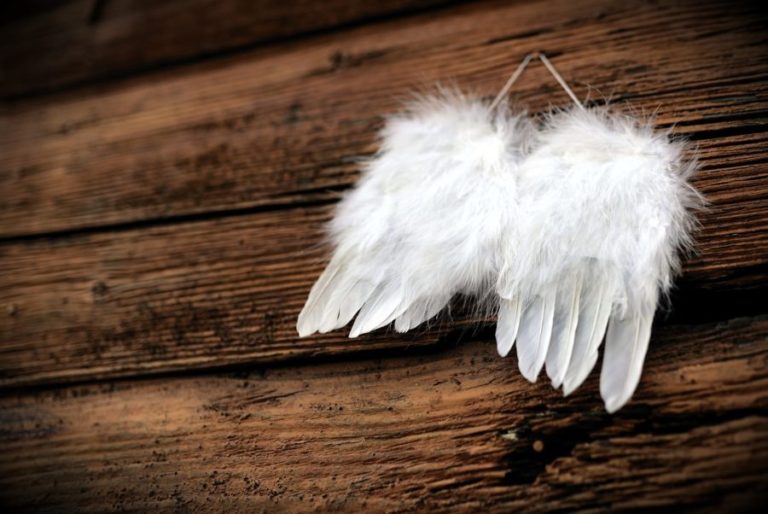 feathers, wing, angel wings-4661244.jpg