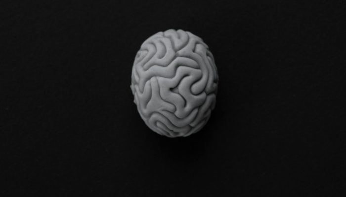 Monochrome Photo of a Brain